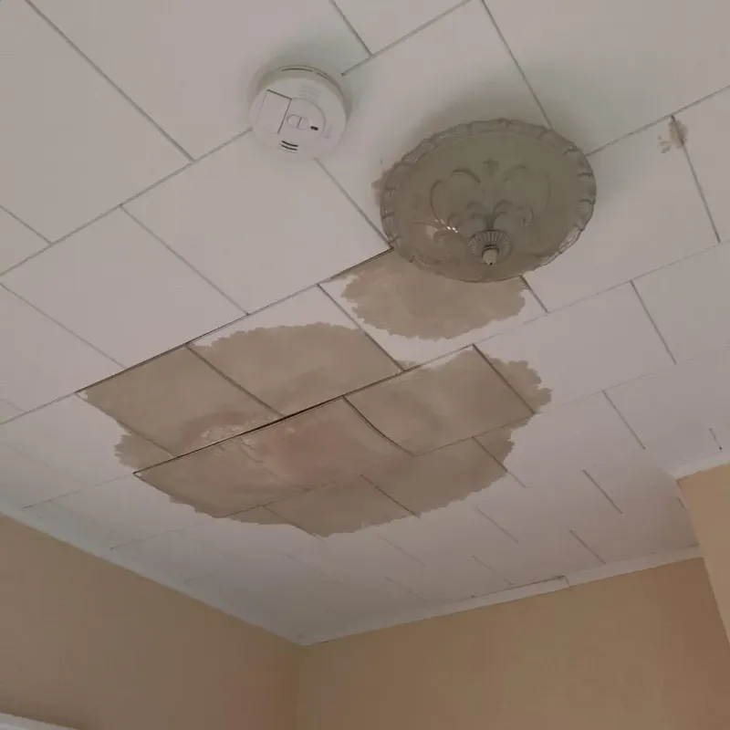 Ceiling Water Damage Repair in Fort Scott, KS