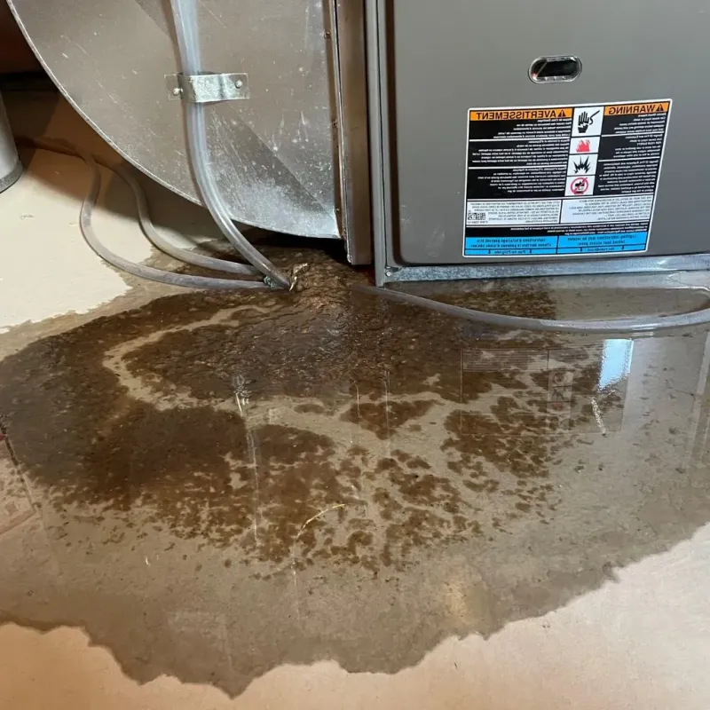Pipe Burst and Leak Restoration in Fort Scott, KS