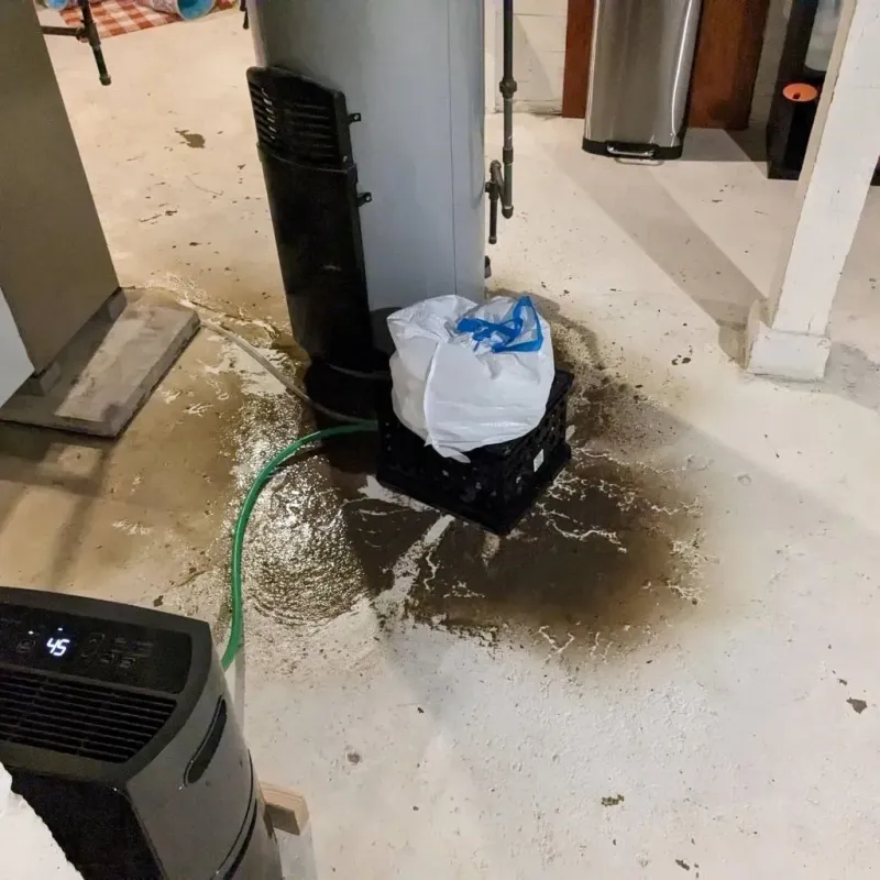 Sewage Backup Cleanup Service in Fort Scott, KS